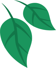 leaves-2